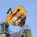 pp451ab65b.png