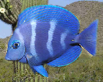 pp7f48781e.png