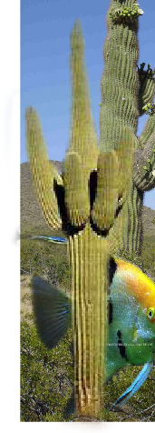 pp7f9a0e56.png