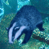 pp99d9d18d.png