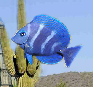 ppf52fa87c.png