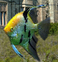 pp4b790ac7.png