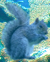 pp4d02c443.png
