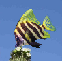 pp564f5e13.png