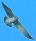 pp8e149a63.png