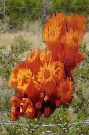 pp96301684.png