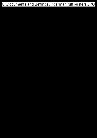 pp502925fc.png